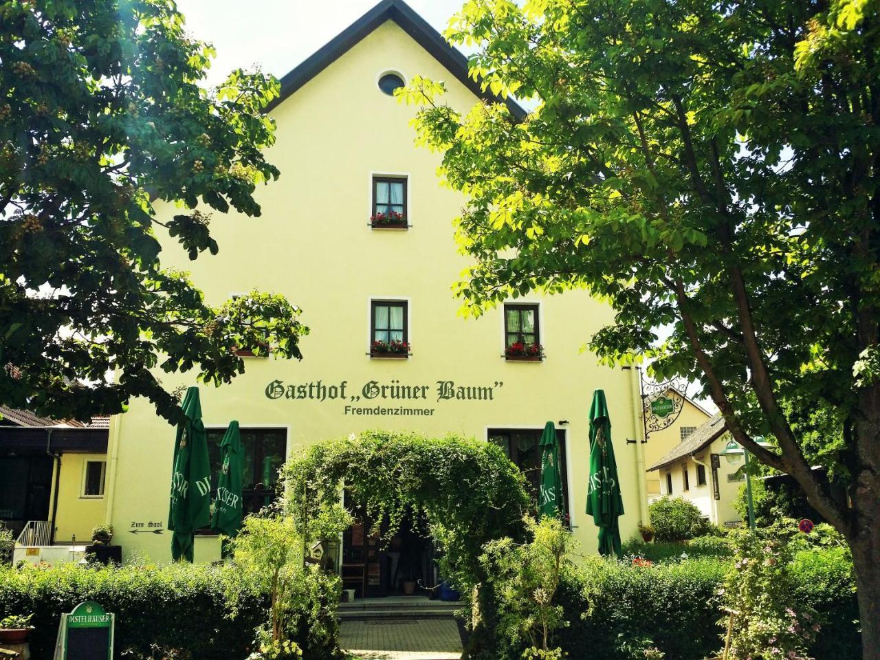 Hotel-Landgasthof Gruener Baum - Dittigheim Tauberbischofsheim Extérieur photo